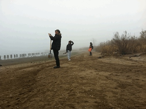 foraging