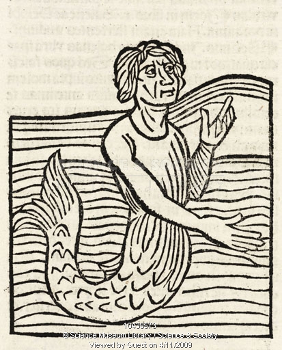 15th Century Woodcuts Of Plants And Other Monsters RENATURED
