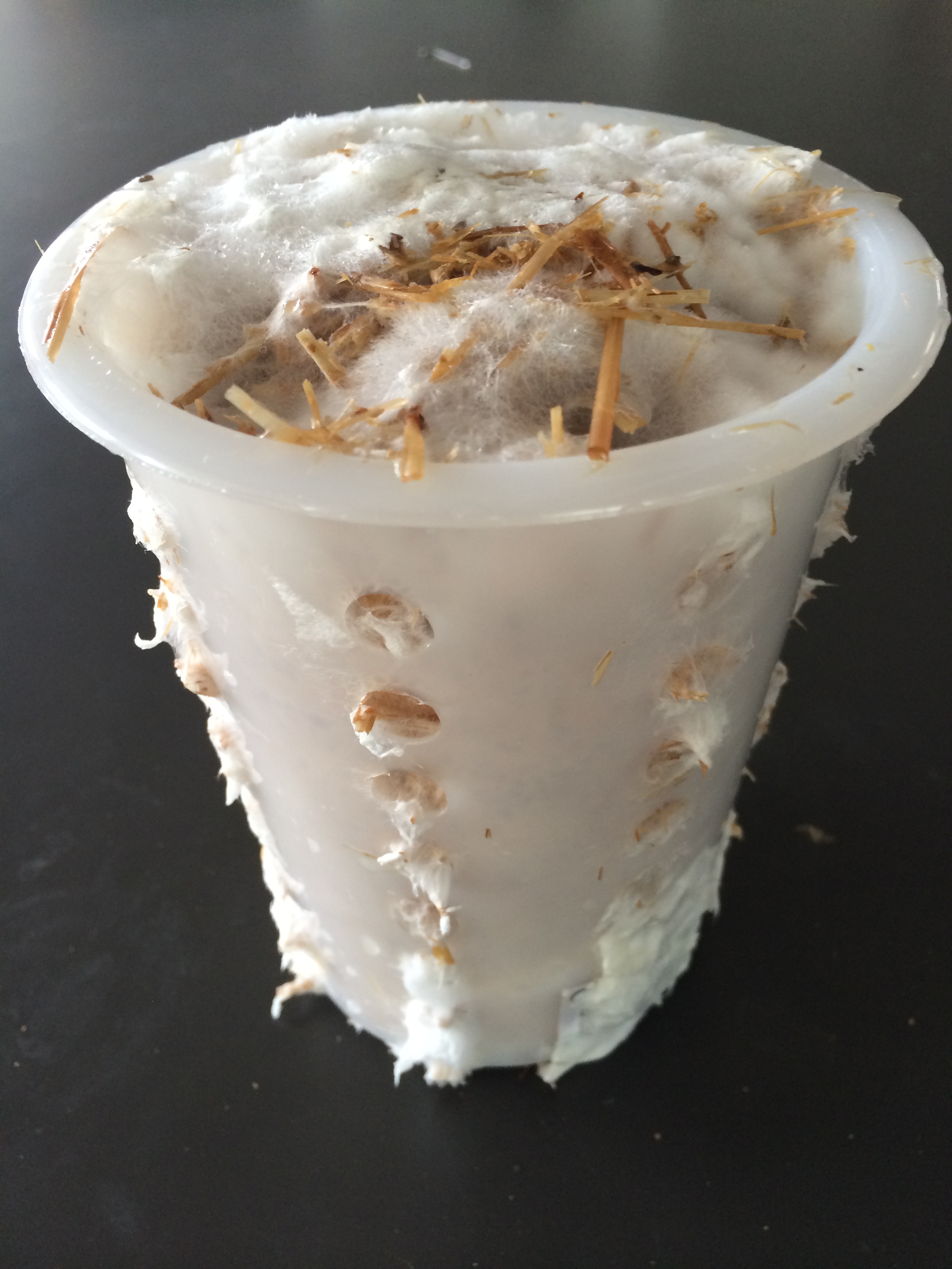 Inoculation RENATURED